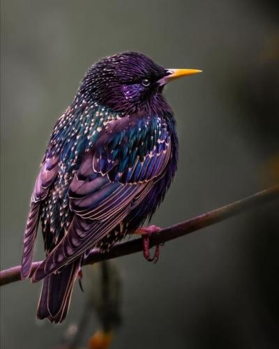 181634141_1859628824203321_6221261652801263702_n