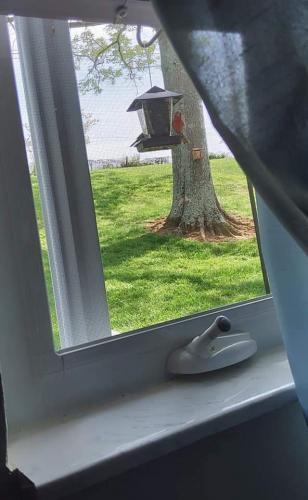 FB_IMG_1620683927033