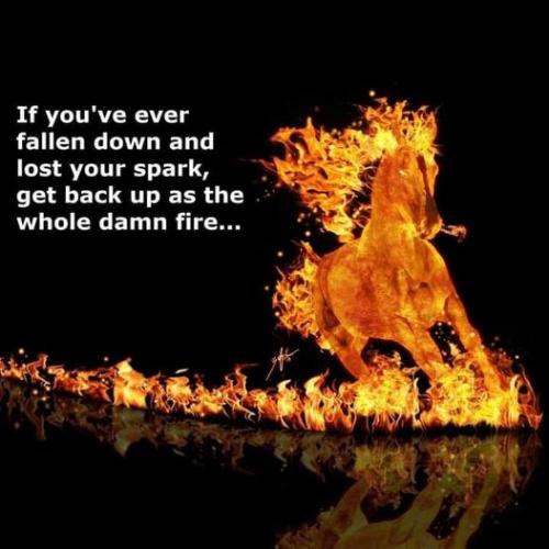 Dont_Just_Shine_BLAZE