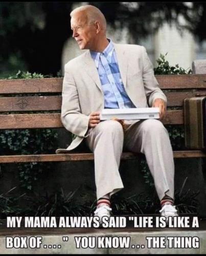 Biden Gump