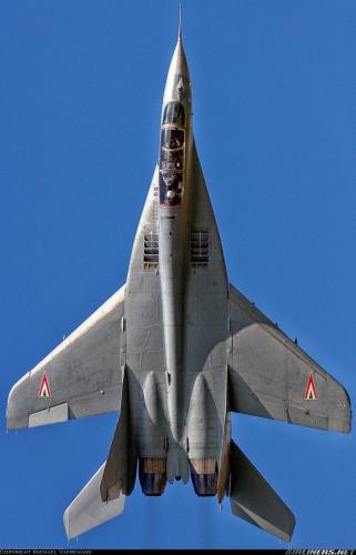 186031915_2964044330480906_5356061306329218664_n