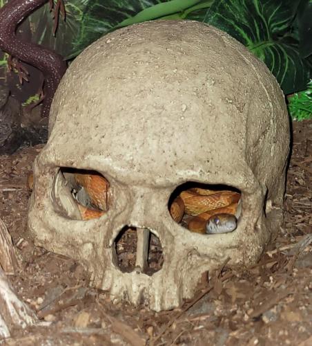 15:58:41 GMT-0400 (EDT)