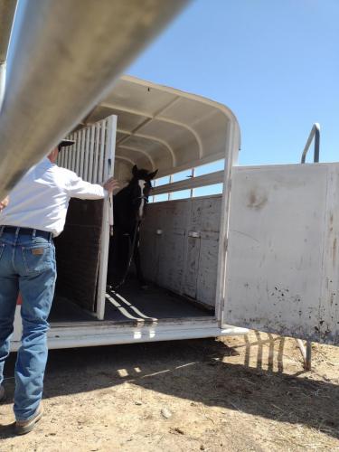 IMG_20210422_132048488