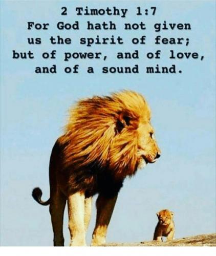 BCC1D725-049D-46F3-BE8C-943594D49C5C