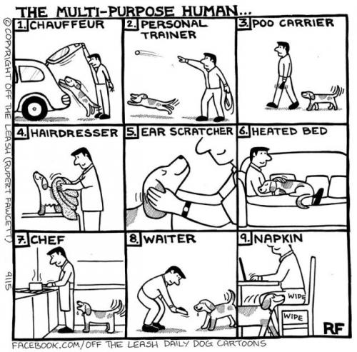 Human