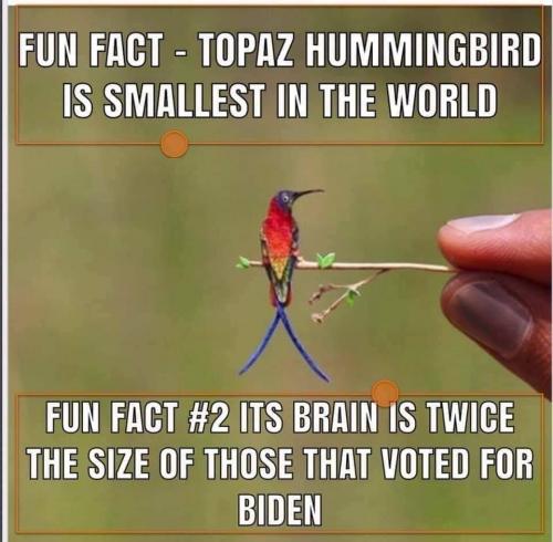 FB_IMG_1621254046772