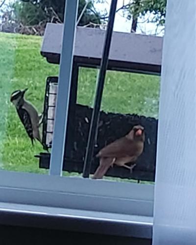 IMG_20210425_055406_891