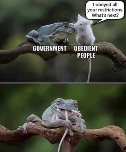 202104270939-3mjmRnUJoW