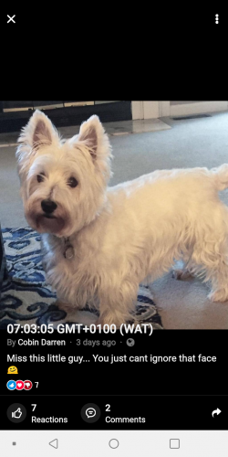 16:03:17 GMT-0500 (CDT)