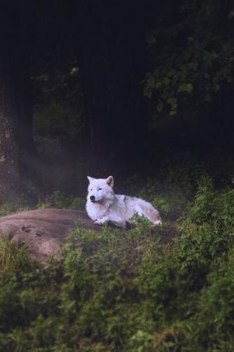 10:39:45 GMT-0500 (CDT)