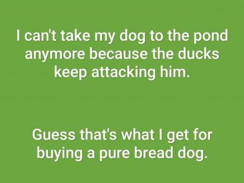 18:47:48 GMT-0400 (EDT)