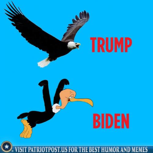 TRUMP BIDEN COMPARISON