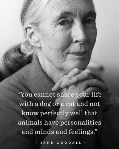 18:06:58 GMT-0500 (CDT)