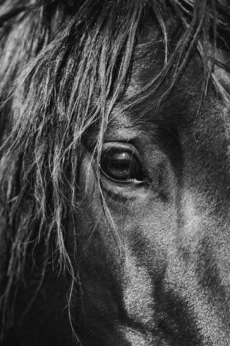 07:09:27 GMT-0500 (CDT)