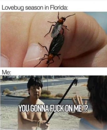 23:56:04 GMT-0400 (EDT)