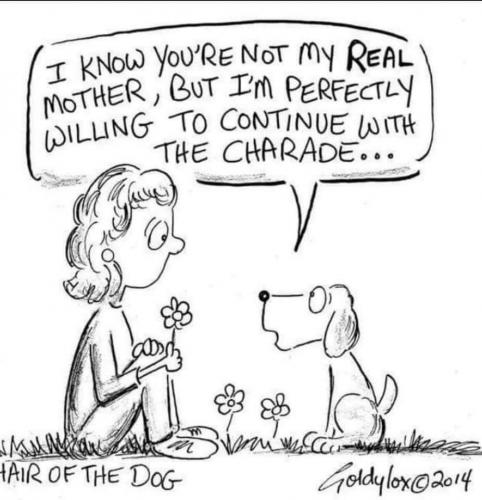 11:15:27 GMT-0500 (CDT)