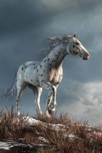 183895283_157645643031709_5170185794661734841_n