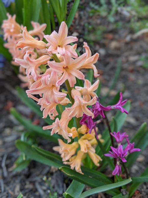 00100dPORTRAIT_00100_BURST20210407145900420_COVER