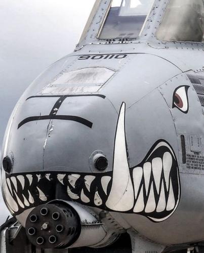 188465148_2120808031395293_5127822012622749369_n