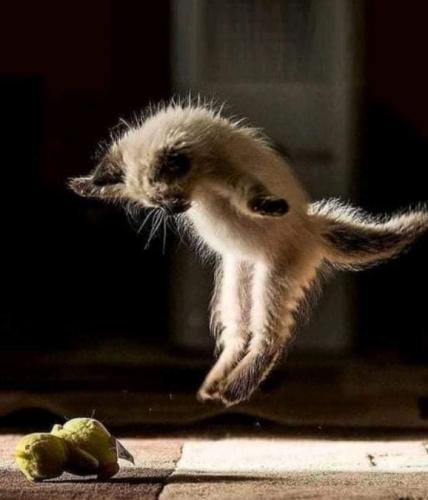 20:22:11 GMT-0500 (CDT)