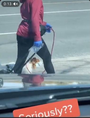 22:02:30 GMT-0400 (EDT).image