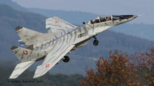 182385405_2958022731083066_114054130402665967_n