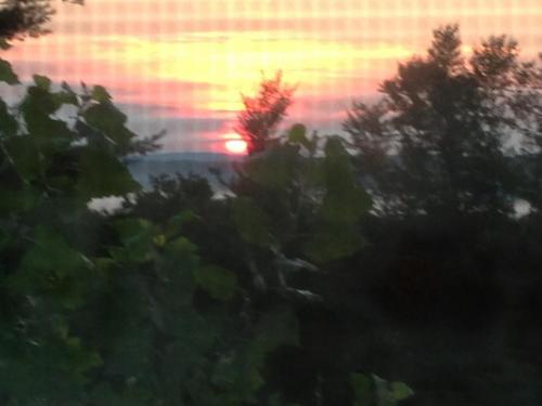 6BFDFBAF-04B4-49E8-BE70-4266D87F4E8D