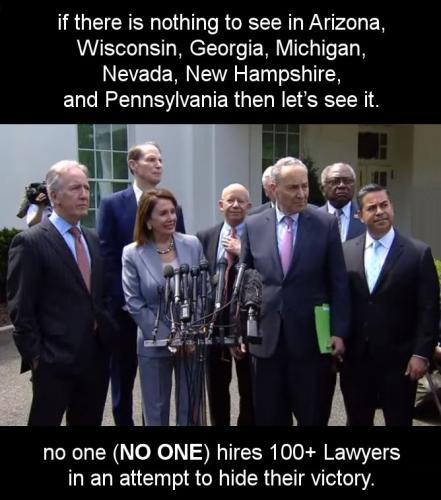 voterfraud170