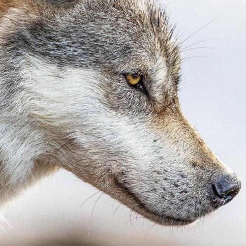 192066567_328864748807558_7473675844018632832_n