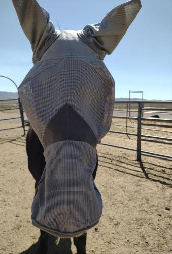 IMG_20210508_102850258~2