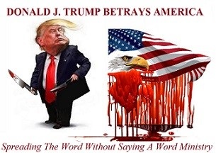 188685455_1382582142127824_5970023294355970996_n