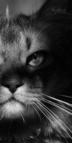 21:04:30 GMT-0500 (CDT)