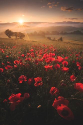 tumblr_4831c2b6726dad3756431cad0e642f03_76537535_540