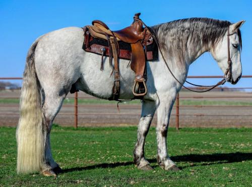 182786541_10159011953725642_6180348073522231635_n