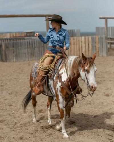 e61debfd28230f032daa94417cd6c20e