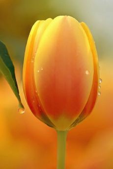 23:57:55 GMT-0500 (CDT)