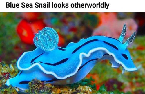 10:06:54 GMT-0400 (EDT)