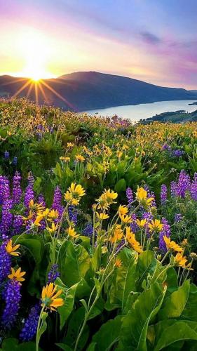 tumblr_13680259b400dc6bc938f8d7828b3a31_72901e15_640