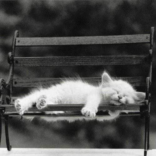 15:11:51 GMT-0500 (CDT)