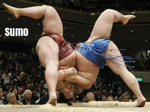 14222352_10205298895552082_8684632704265504823_n