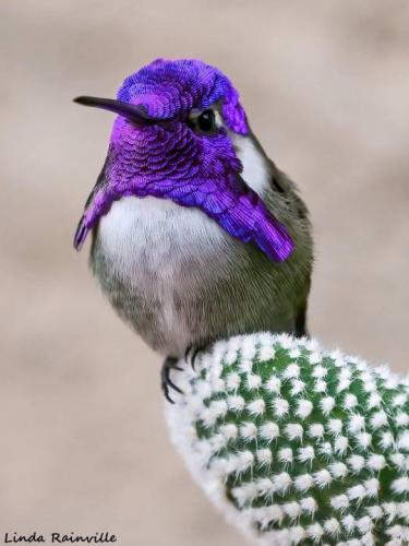 tumblr_d7ecab964122e1aea654cd0374aae4ef_dbe08b89_540