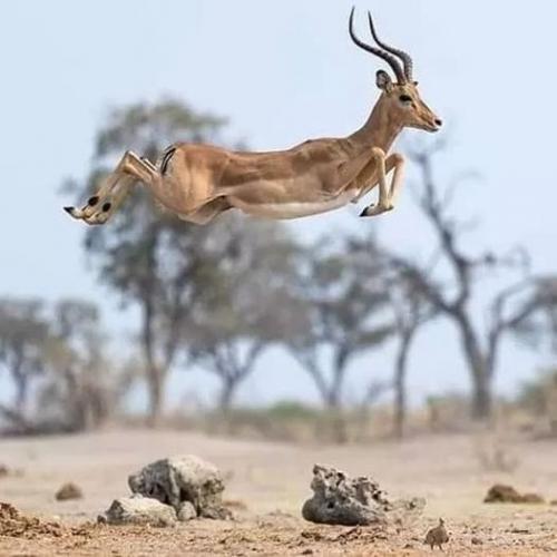 186908583_496657448436875_4839970191385597217_n