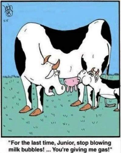 16:56:38 GMT-0500 (CDT)