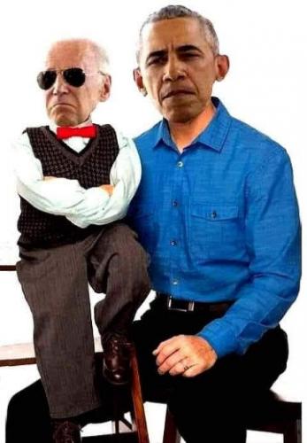 biden556
