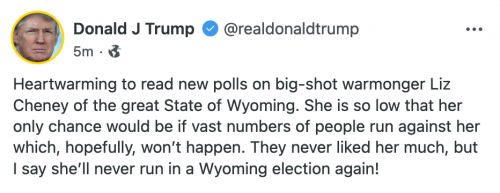 Statement_TrumpGab_2021May3_Cheney