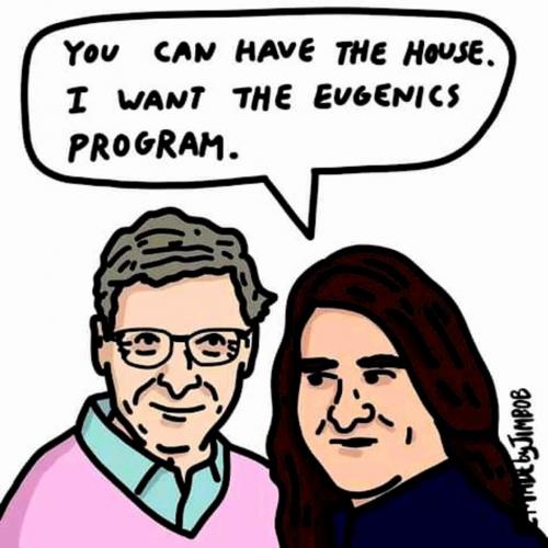 bill gates eugenics divorce