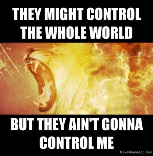 22:20:03 GMT-0700 (PDT).image