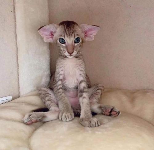 12:49:46 GMT-0500 (CDT)