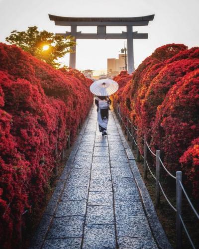 191631664_2957139657890583_1429639716409348666_n