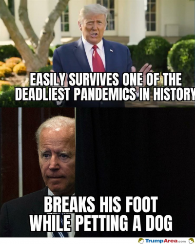 129572700_2789654721294046_1570839020363683268_n